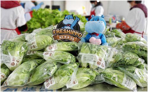 爆料盒子 吃瓜黑料精品一区,爆料盒子一区独家黑料大曝光